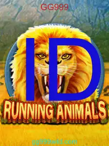 RunningAnimals